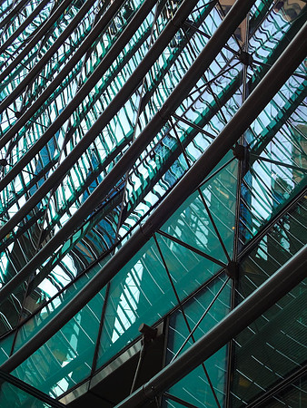 Looking Up